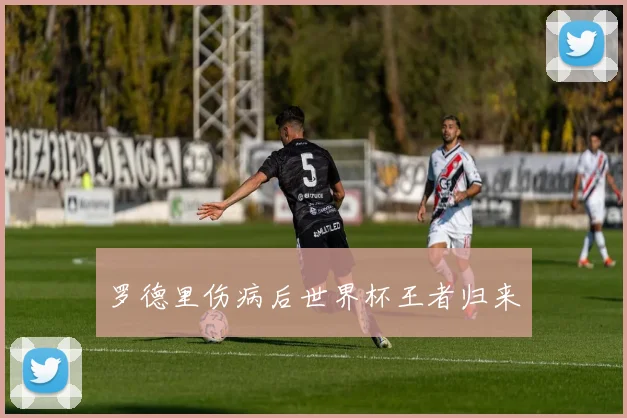 罗德里伤病后世界杯王者归来